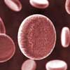 Blood cells