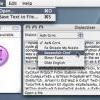 Dialectizer