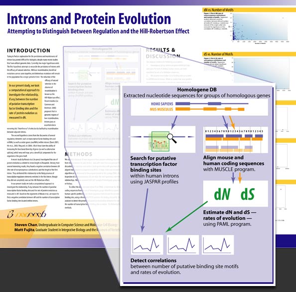 Introns project poster