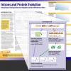 Introns project poster
