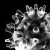 Virus